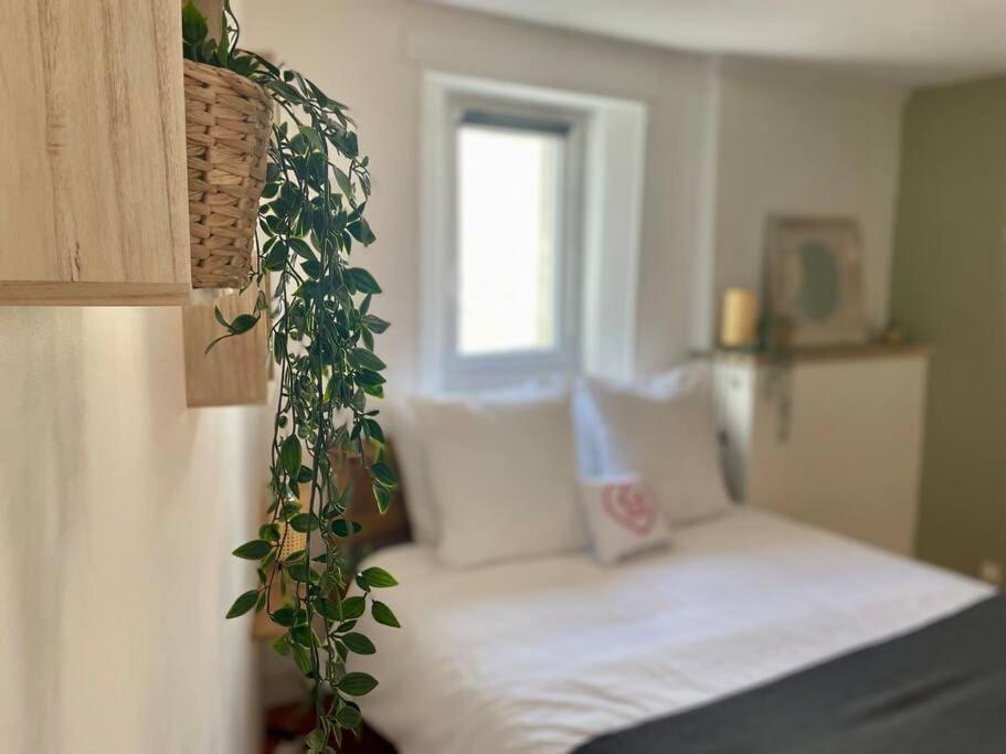 La Bellevue X Parking By Melrose Apartment Байо Екстериор снимка